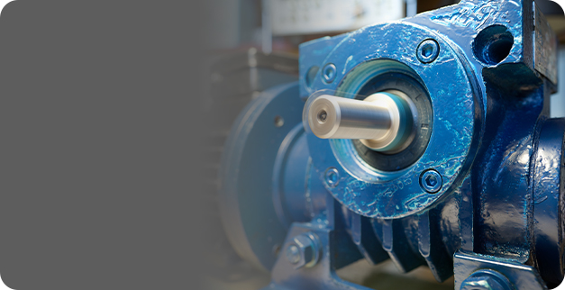 Engranajes de bomba y compresor